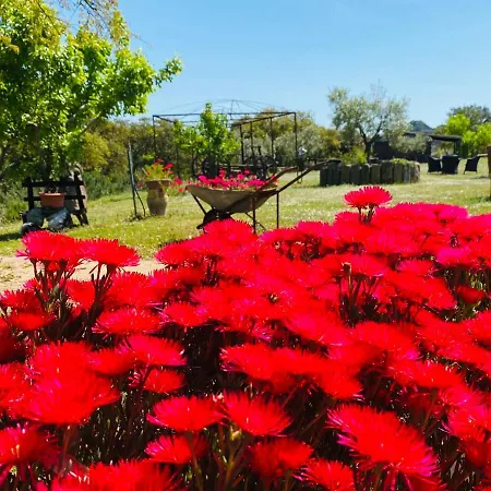 Bed & Breakfast Il Nuraghe Del Coghinas Oschiri