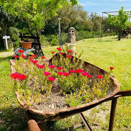 לינה וארוחת בוקר Il Nuraghe Del Coghinas