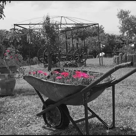 Il Nuraghe Del Coghinas Bed & Breakfast Oschiri