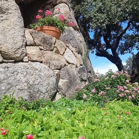 Il Nuraghe Del Coghinas