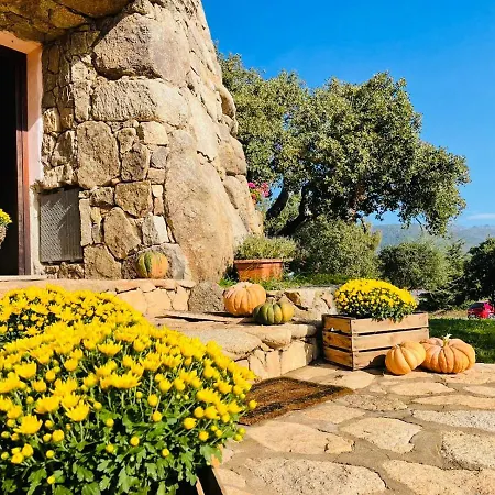 לינה וארוחת בוקר Il Nuraghe Del Coghinas Oschiri