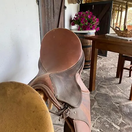 Il Nuraghe Del Coghinas