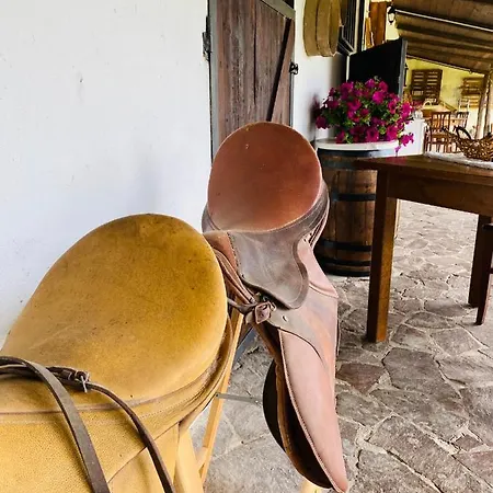 Bed & Breakfast Il Nuraghe Del Coghinas 4*