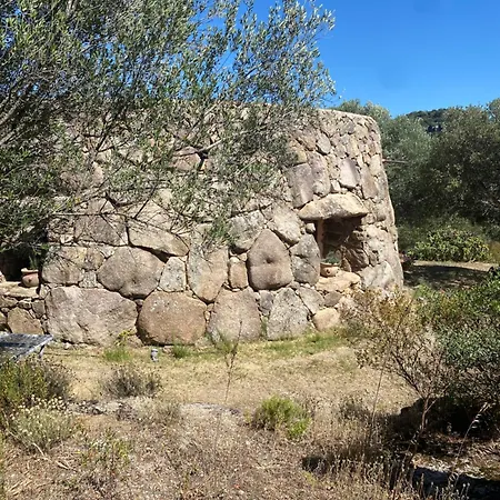 Il Nuraghe Del Coghinas Oschiri