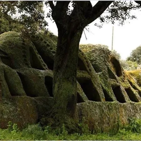Couette-café Il Nuraghe Del Coghinas *