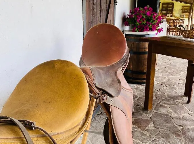 住宿加早餐酒店 Il Nuraghe Del Coghinas 4*