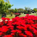 Bed & Breakfast Il Nuraghe Del Coghinas Oschiri