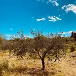 Il Nuraghe Del Coghinas Oschiri