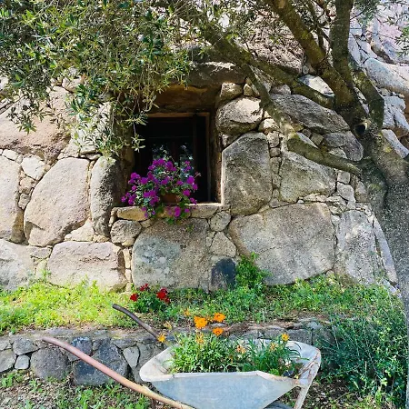 住宿加早餐酒店 Il Nuraghe Del Coghinas *