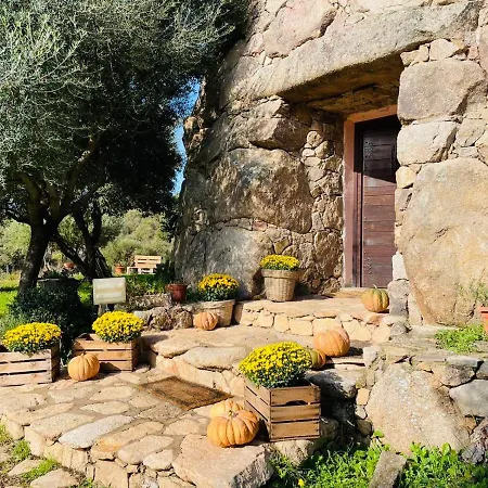 Il Nuraghe Del Coghinas * Oschiri