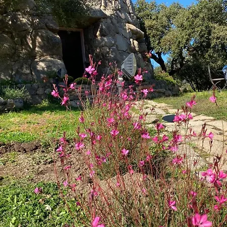 Il Nuraghe Del Coghinas