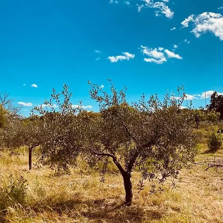 Il Nuraghe Del Coghinas 4*