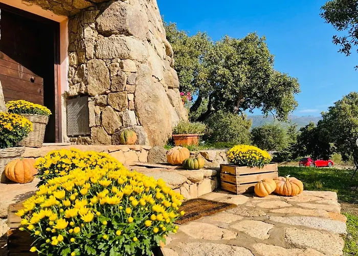 לינה וארוחת בוקר Il Nuraghe Del Coghinas Oschiri